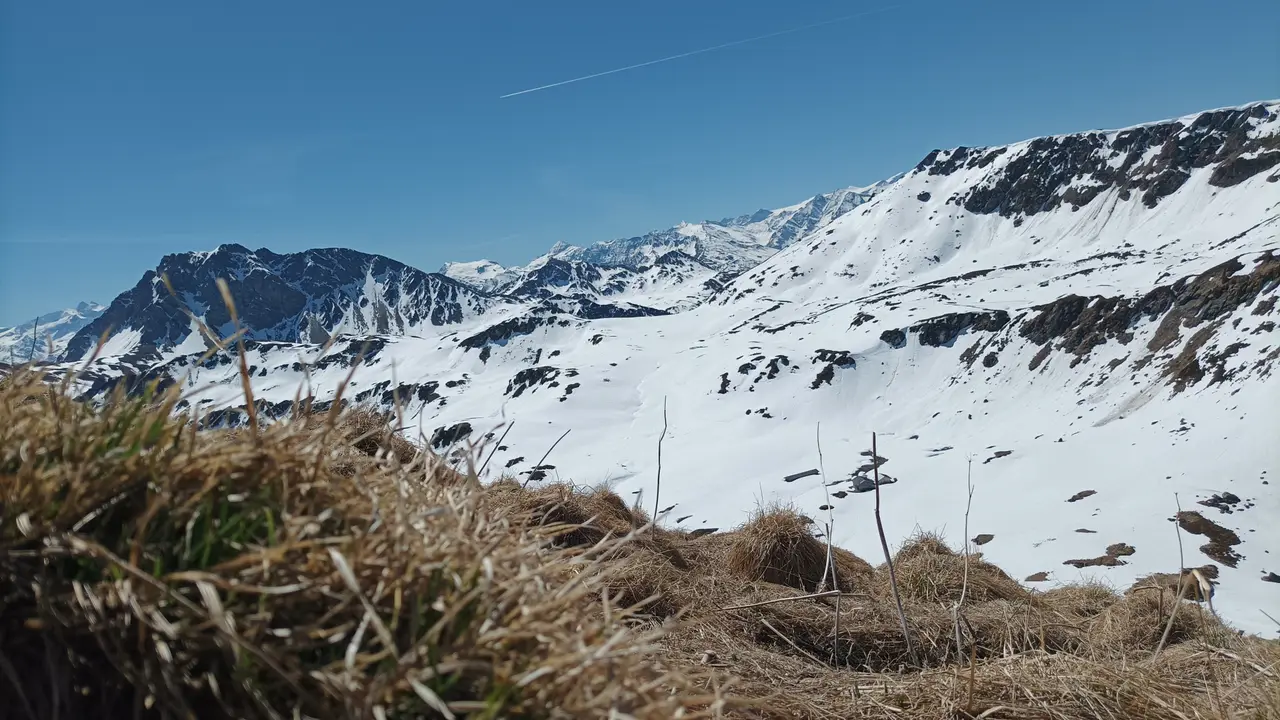 An alpine snowfield: a rock ridge above a wide bowl of snow, dry grass in the foreground.